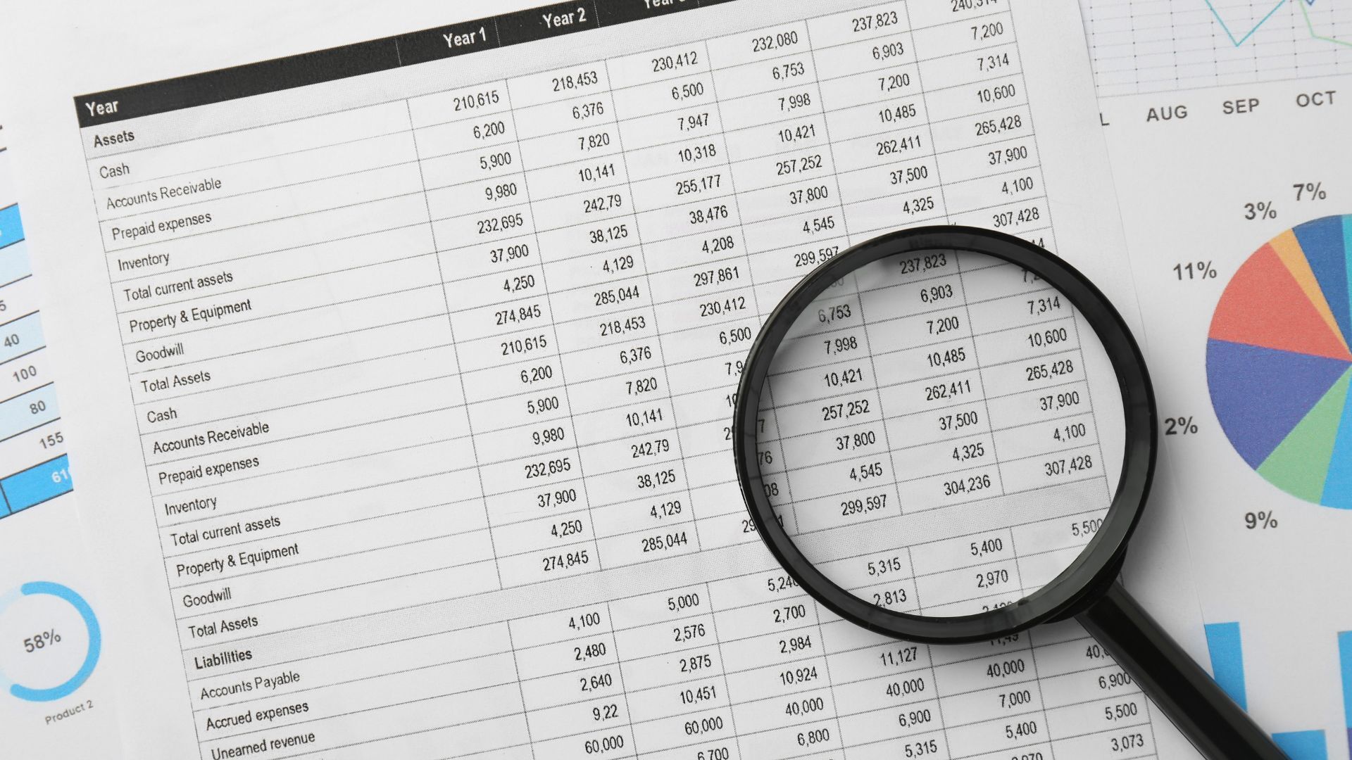 Business owner reviewing monthly financial reports for smarter cash flow and growth decisions.